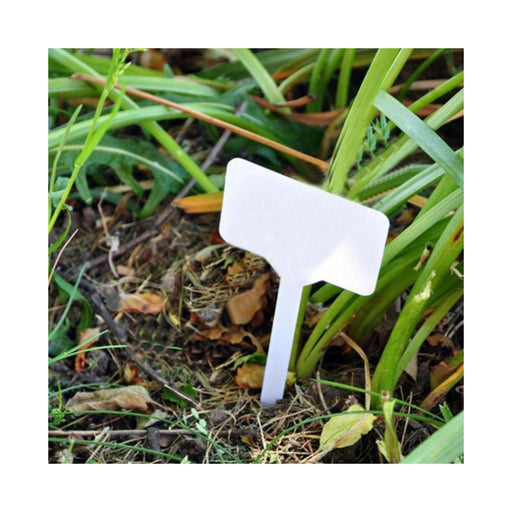 10 x Large White Plastic Garden Plant Markers - Citystores
