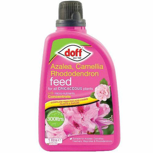 Doff Ericaceous Plant Container & Basket Feed Concentrate, For Healthy Growth 1L - Doff